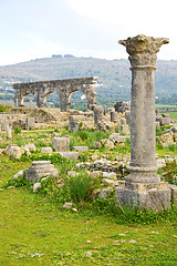 Image showing volubilis in morocco  and site