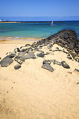 Image showing white coast lanzarote  in spain   beach  windsurf