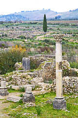 Image showing volubilis in morocco   site