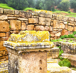 Image showing chellah  in morocco africa the old roman deteriorated monument a