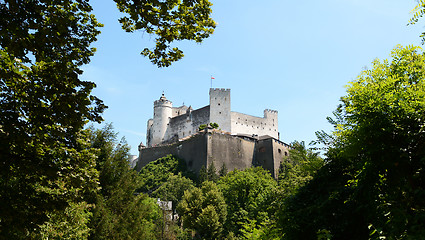 Image showing Hohensalzburg Fortress framed by trees in Salzburg