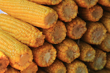 Image showing sweet corn background