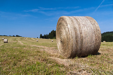 Image showing Bales of hay