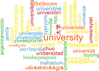 Image showing University multilanguage wordcloud background concept