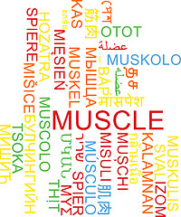 Image showing Muscle multilanguage wordcloud background concept