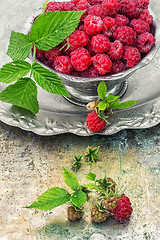 Image showing raspberries