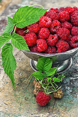 Image showing raspberries