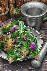 Image showing Thistle 