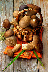 Image showing Boletus Mushrooms