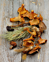 Image showing Dried Mushrooms