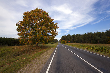 Image showing the autumn road  