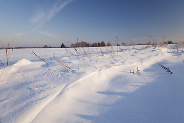 Image showing snow-covered field 