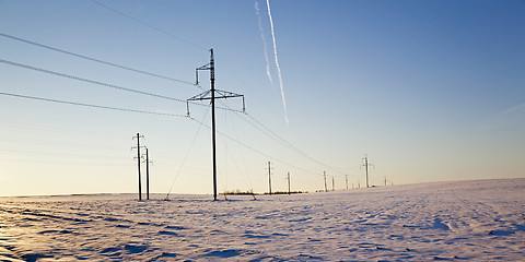 Image showing columns in the field  