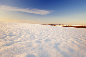 Image showing snow-covered field  