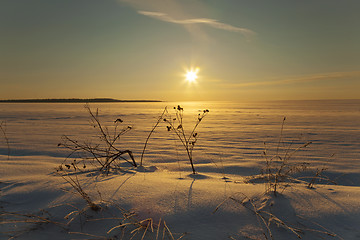 Image showing winter field  