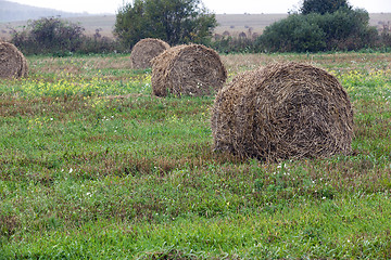 Image showing straw stack 