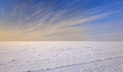 Image showing snow-covered field  