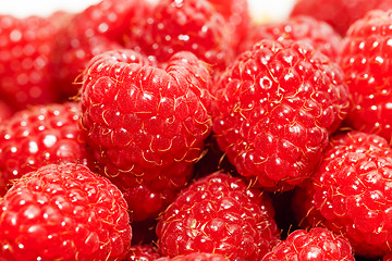 Image showing raspberry  