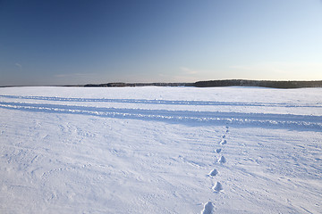 Image showing snow covered field  