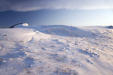 Image showing snow-covered field  