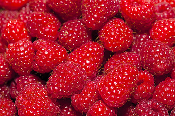 Image showing raspberry  
