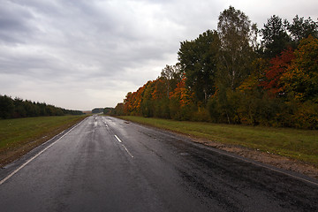 Image showing the autumn road  