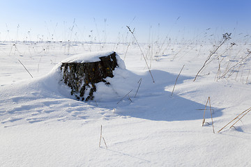 Image showing stump under snow  
