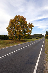 Image showing the autumn road 