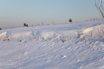 Image showing snow-covered field    