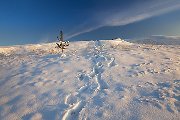 Image showing snow-covered field  