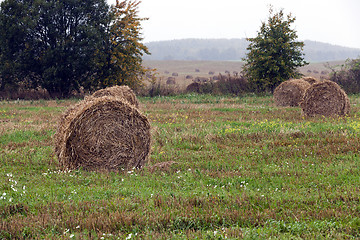 Image showing straw stack  