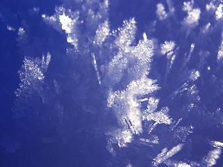 Image showing Snowflakes