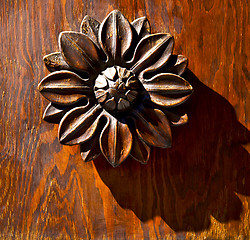 Image showing abstract flower brass brown knocker  varese italy