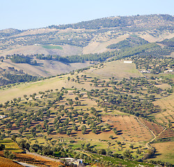 Image showing from high in the village morocco africa field and constructions