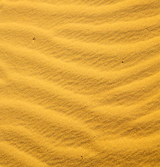 Image showing the brown sand dune in the sahara morocco desert 