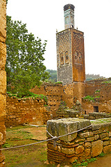 Image showing chellah  in        africa the old roman deteriorated      and si