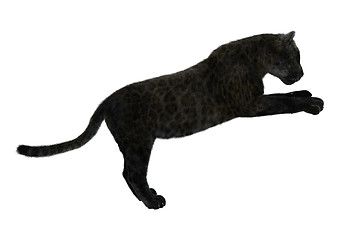 Image showing Black Panther