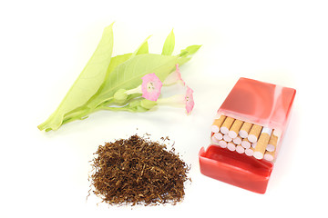 Image showing Tobacco with cigarettes