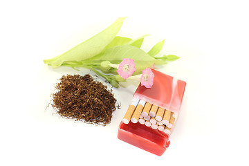 Image showing Tobacco with cigarettes case