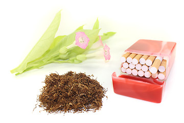 Image showing Tobacco with cigarettes case and blossoms