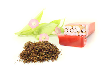 Image showing Tobacco with cigarettes case and plant