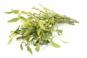 Image showing Mistletoe with white berries