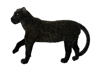 Image showing Black Panther