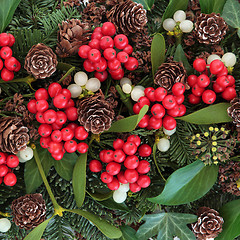 Image showing Winter Flora