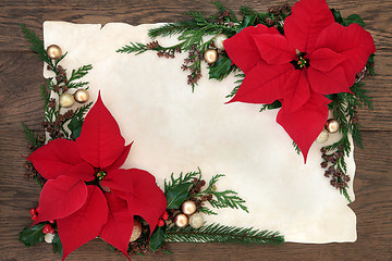 Image showing Poinsettia Flowers Border