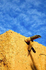 Image showing africa in morocco the metal water pipe