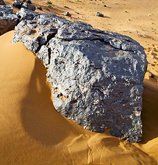 Image showing  bush old fossil in  the desert of morocco sahara and rock  ston