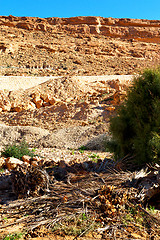 Image showing in   valley  morocco  africa the atlas dry  