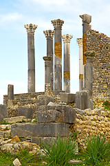 Image showing volubilis in morocco africa    roman deteriorated monument and s