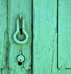 Image showing canarias  brown knocker in a green 